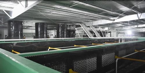 国际海鲜养殖巨头抢滩中国市场，海璟水产以创新引领行业变革