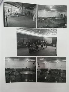 水产品行业 现状、挑战与未来展望