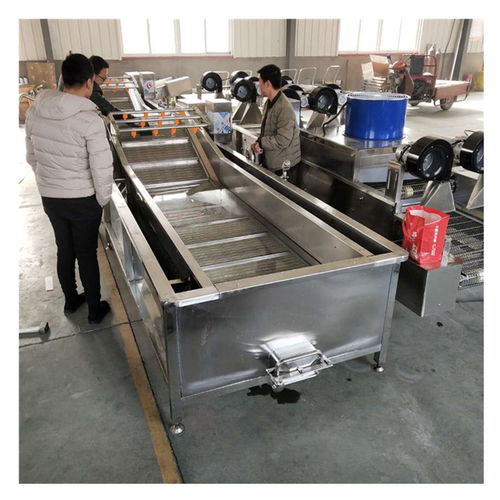 水产品清洗设备 提升加工效率与品质安全的关键环节